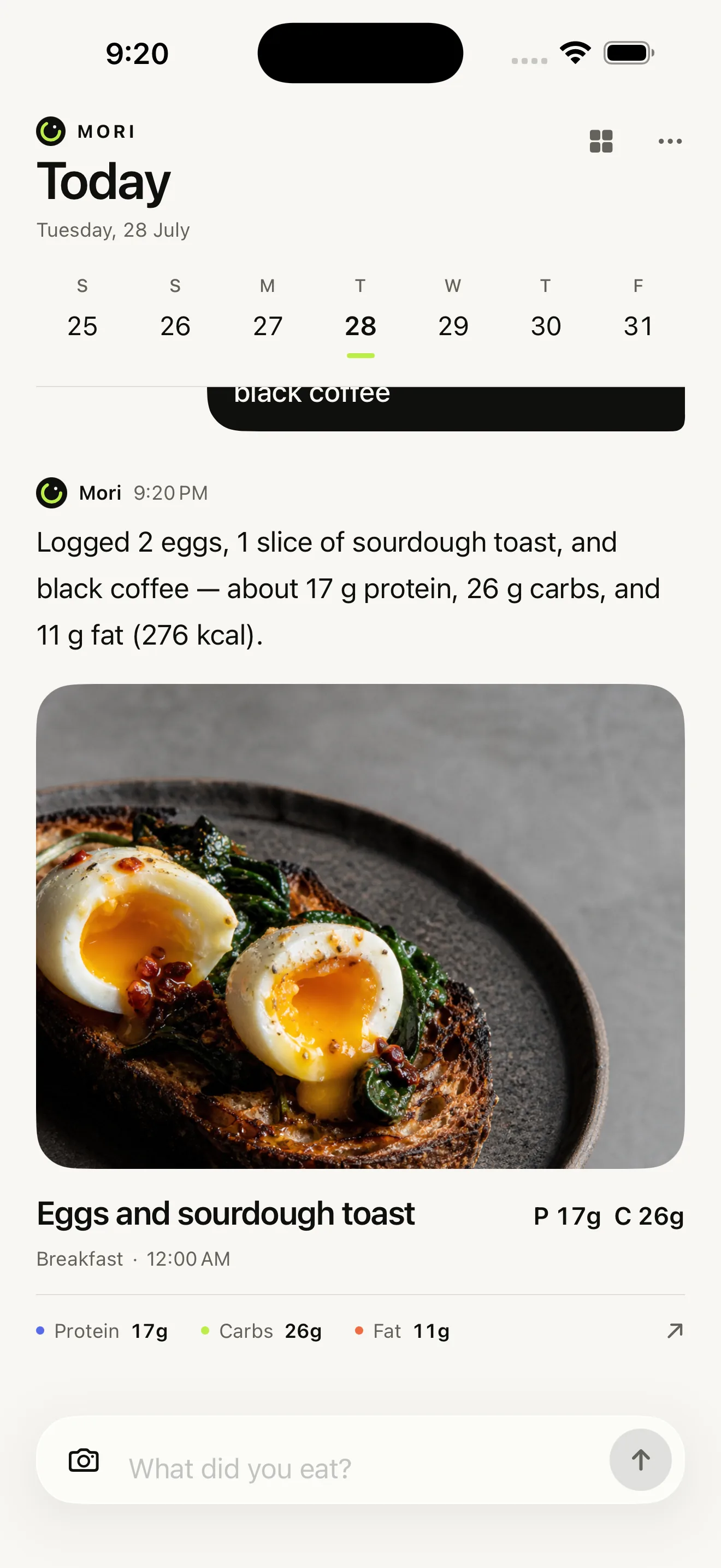 Mori logging eggs and sourdough toast in a conversational daily macro journal