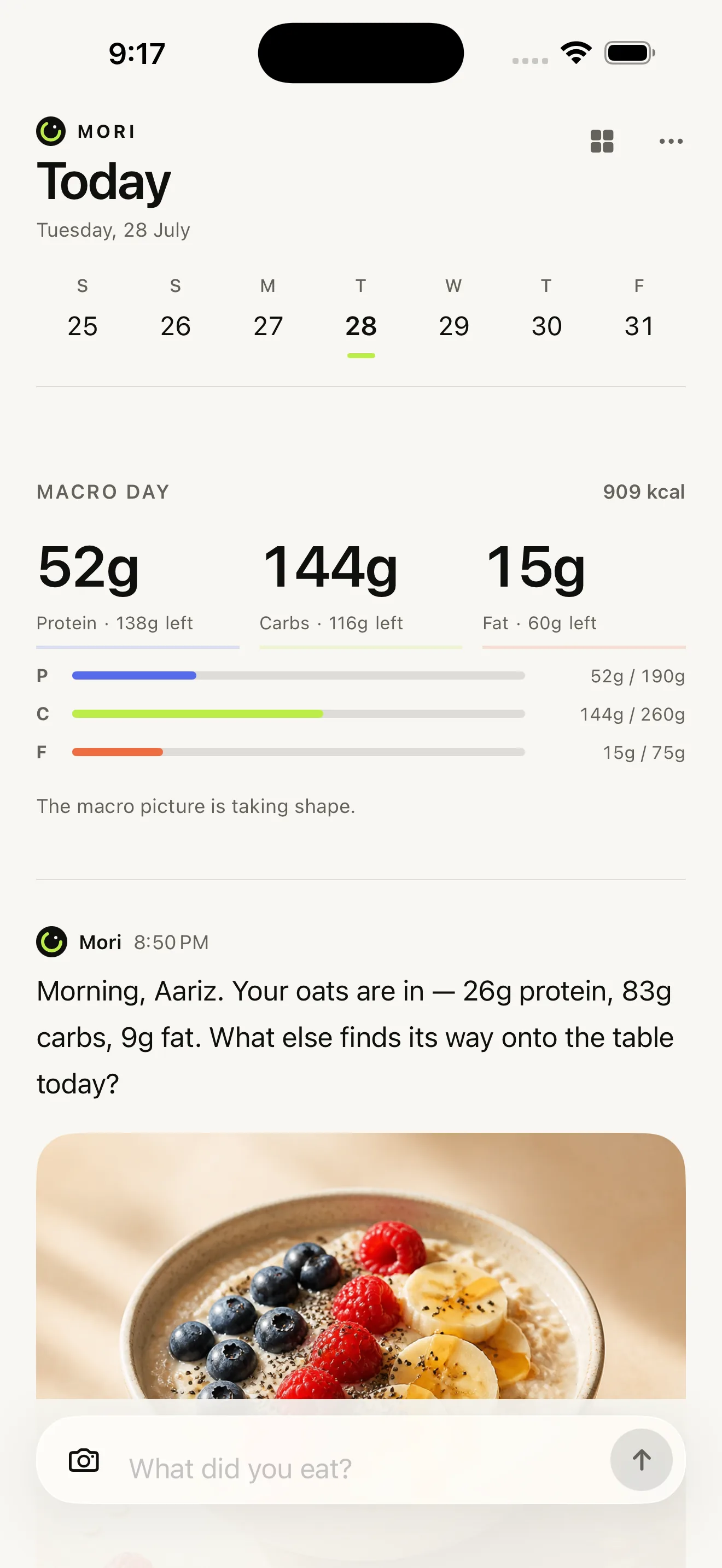 Mori daily macro view showing protein, carbs, fat, and a meal conversation